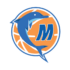 montebelluna basket