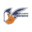 pallacanestro vigodarzere